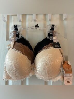 Rene Rofe Lace Demi Push-Up Trio in Ivory, Brown, Black